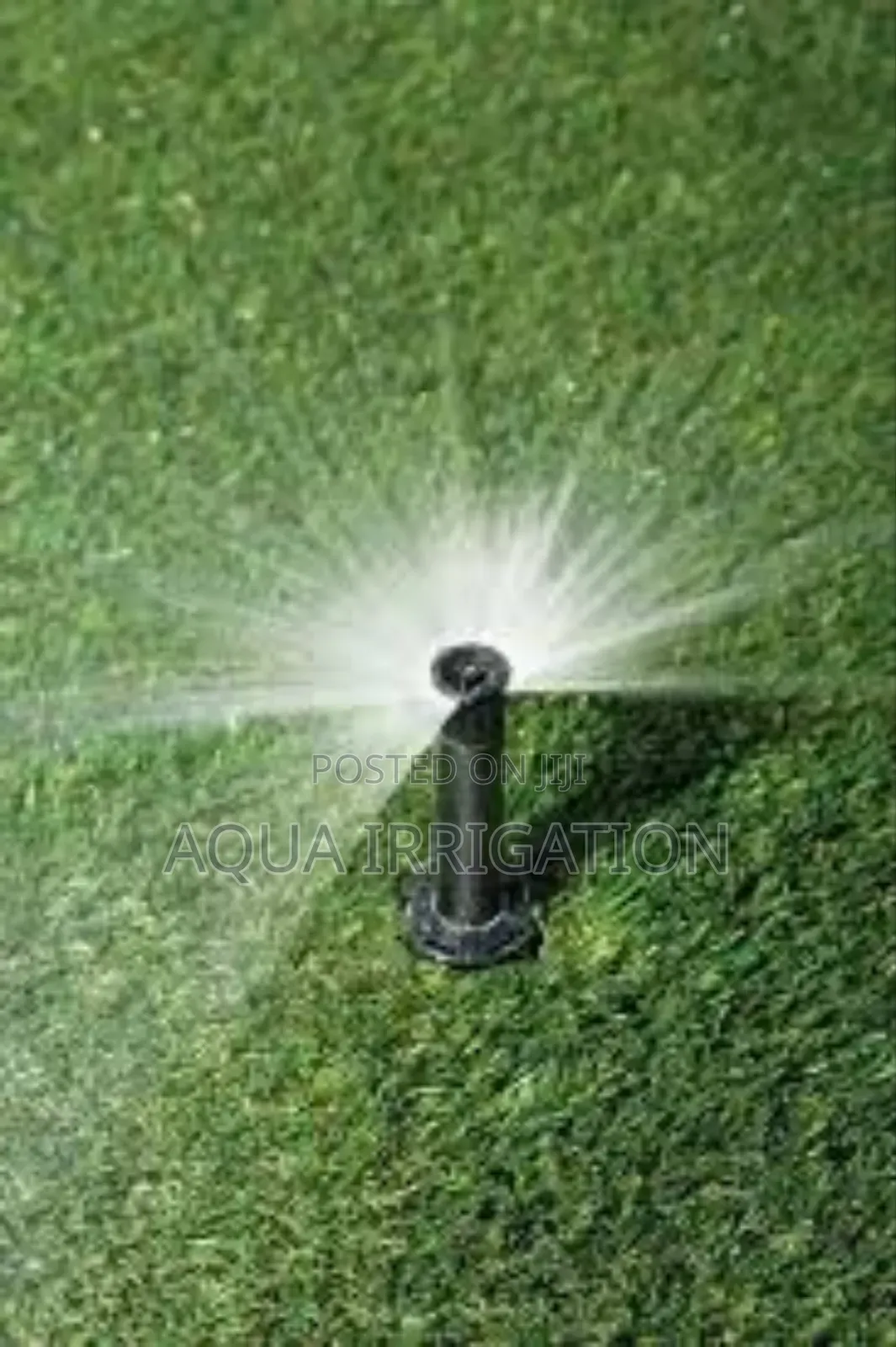 Discreet Pop-Up Sprinklers for a Green Lawn
