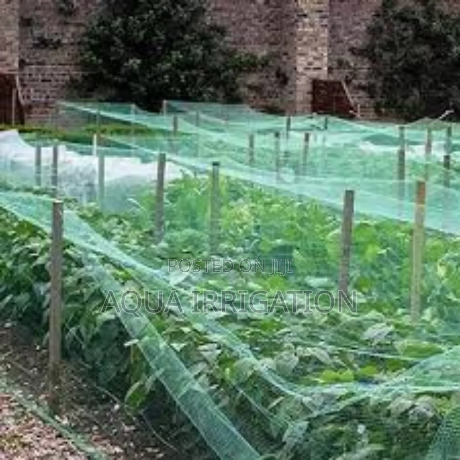 "Secure Your Space With Quality Bird Nets