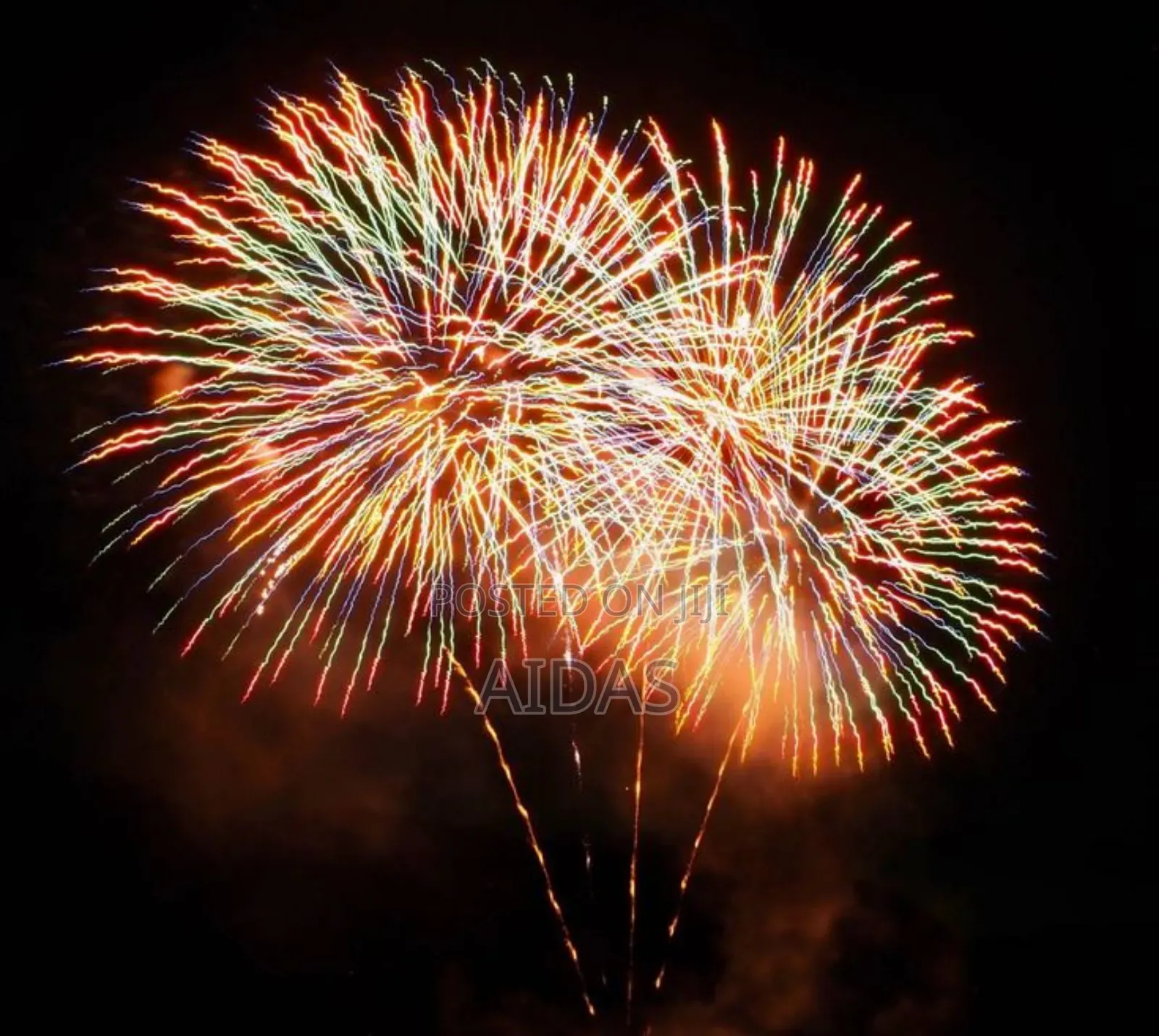 Colorful Firework for New Year Celebration