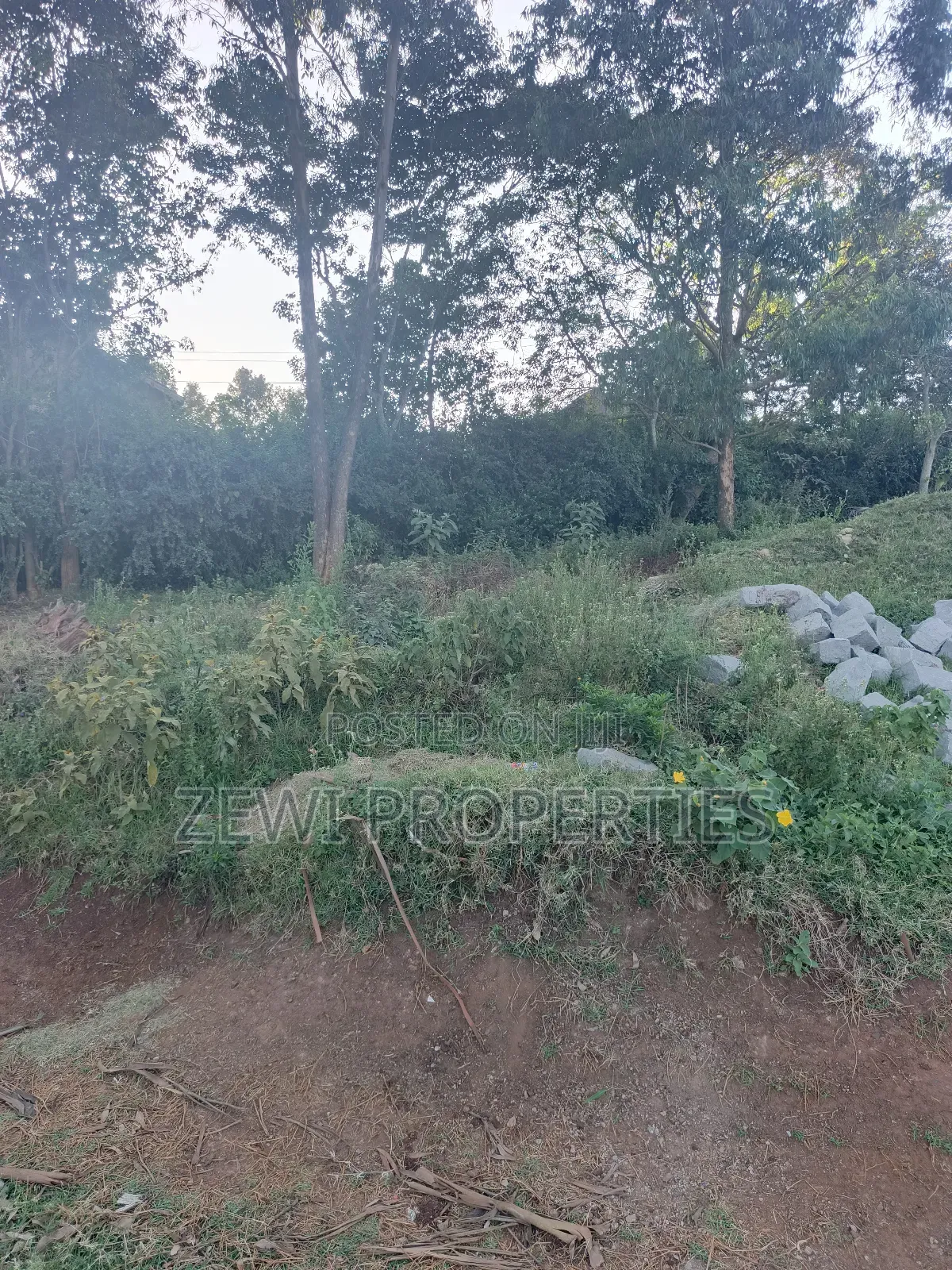 Quarter Acre Kibiku