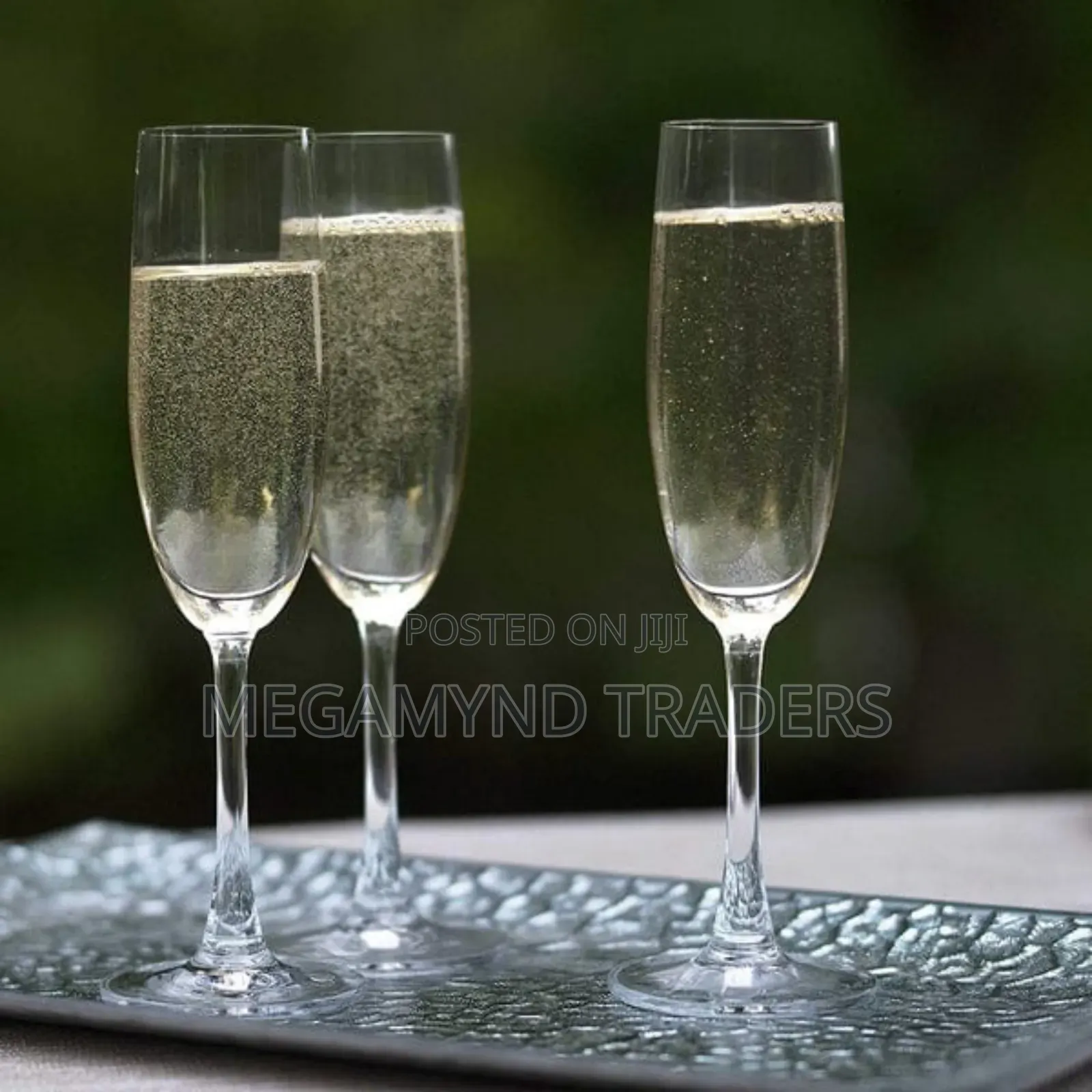 6pc Champagne Glass Clear