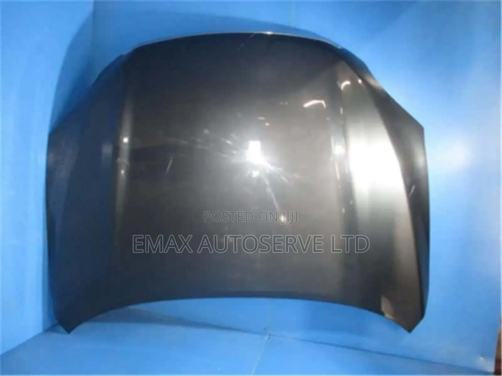 Bonnet Vanguard 2008