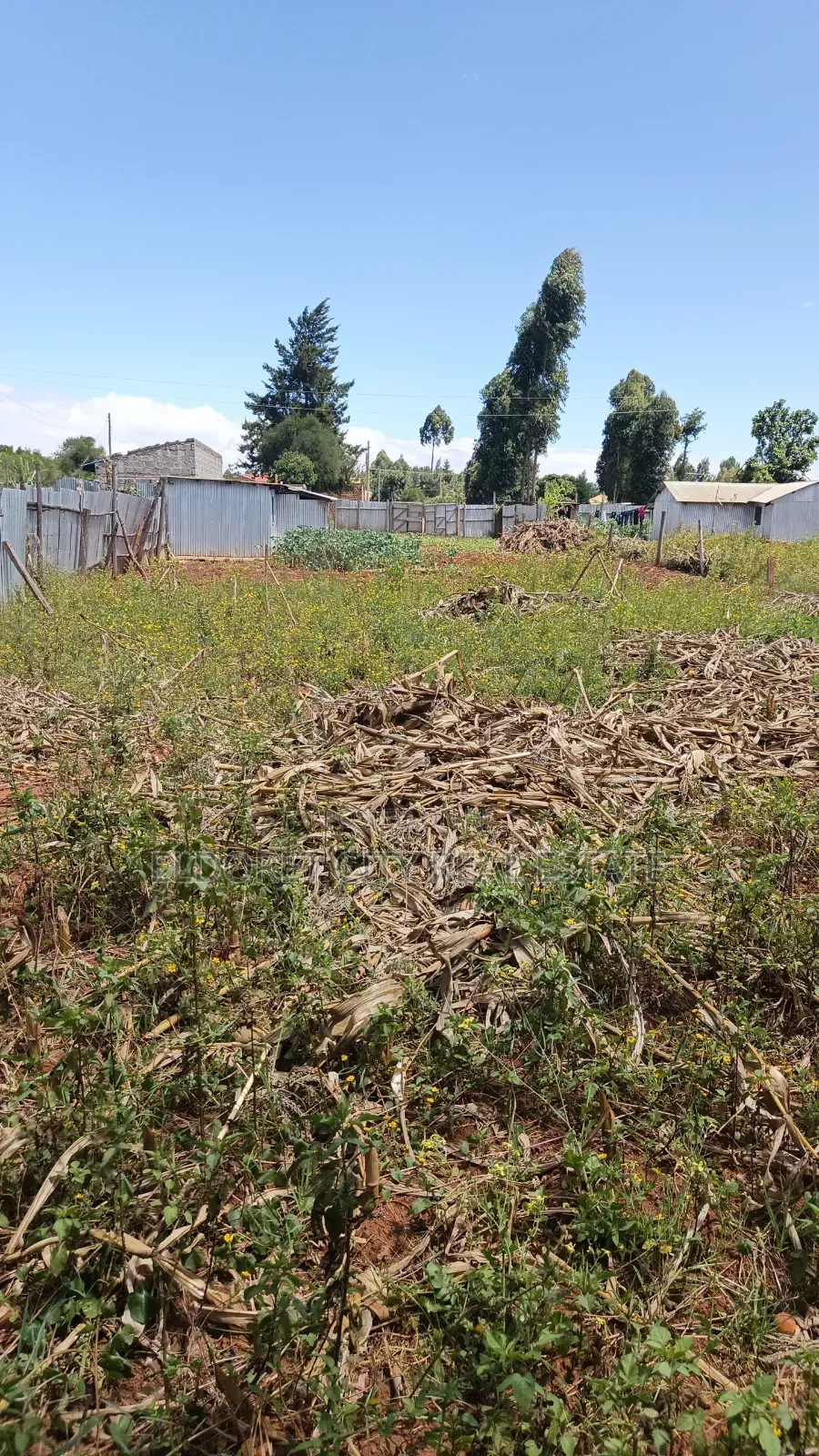 1/4 Plot Kimumu Chebarus With Title
