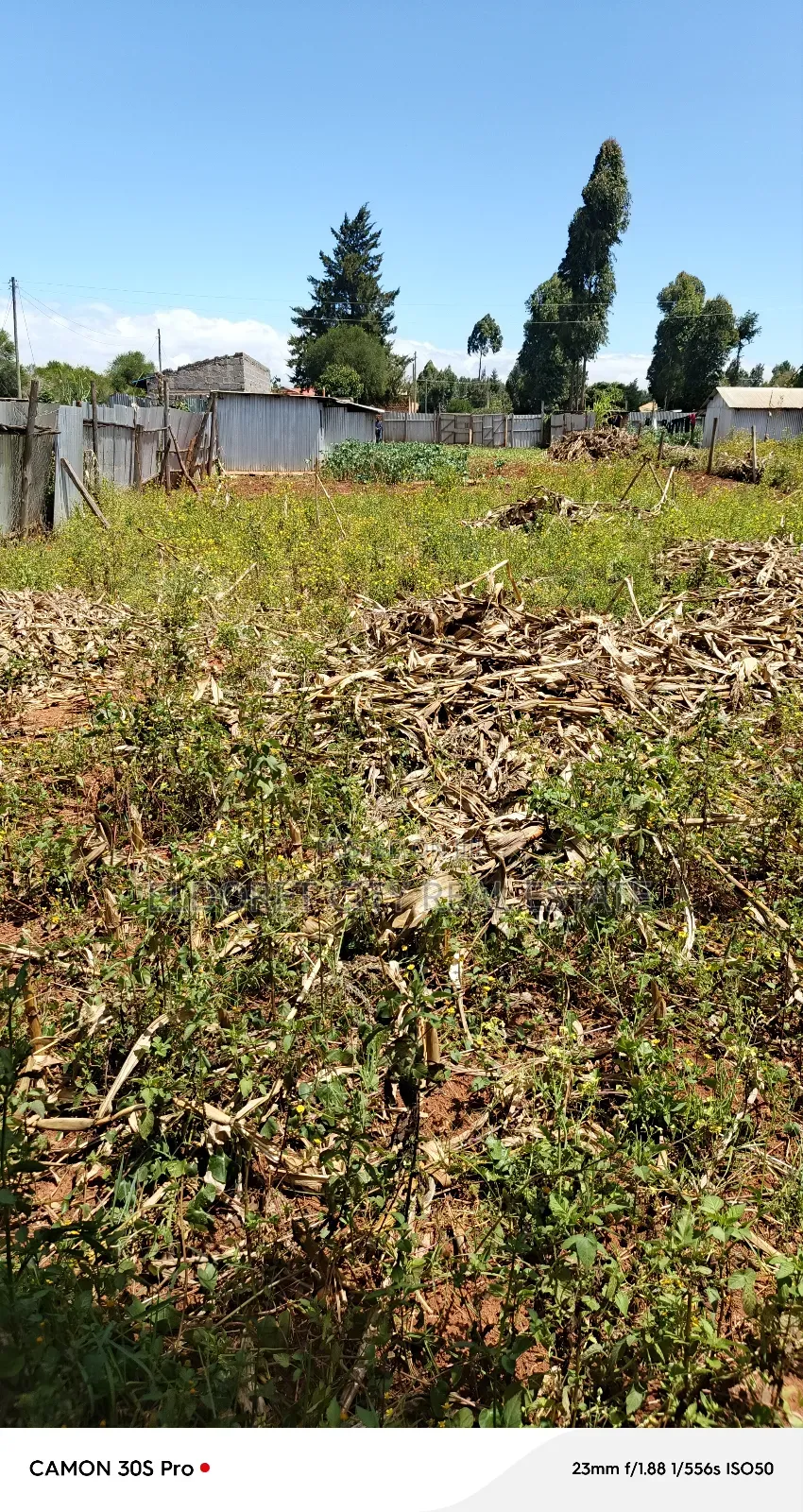 1/4 Plot Kimumu Chebarus With Title