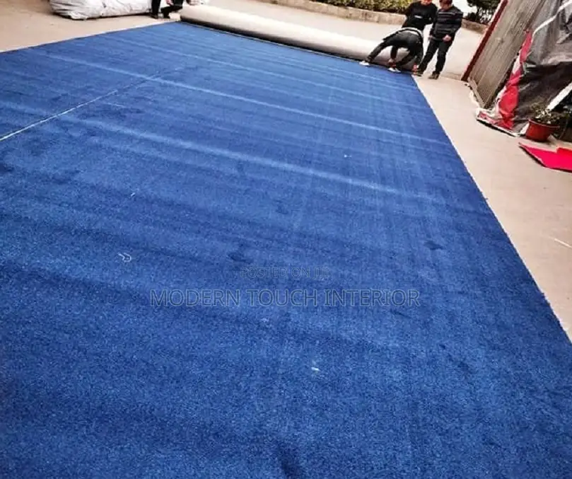 Eco-Friendly Wall-to-Wall Carpet
