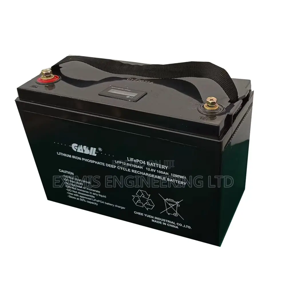 Lithium Battery 100ah 2.56 KWH