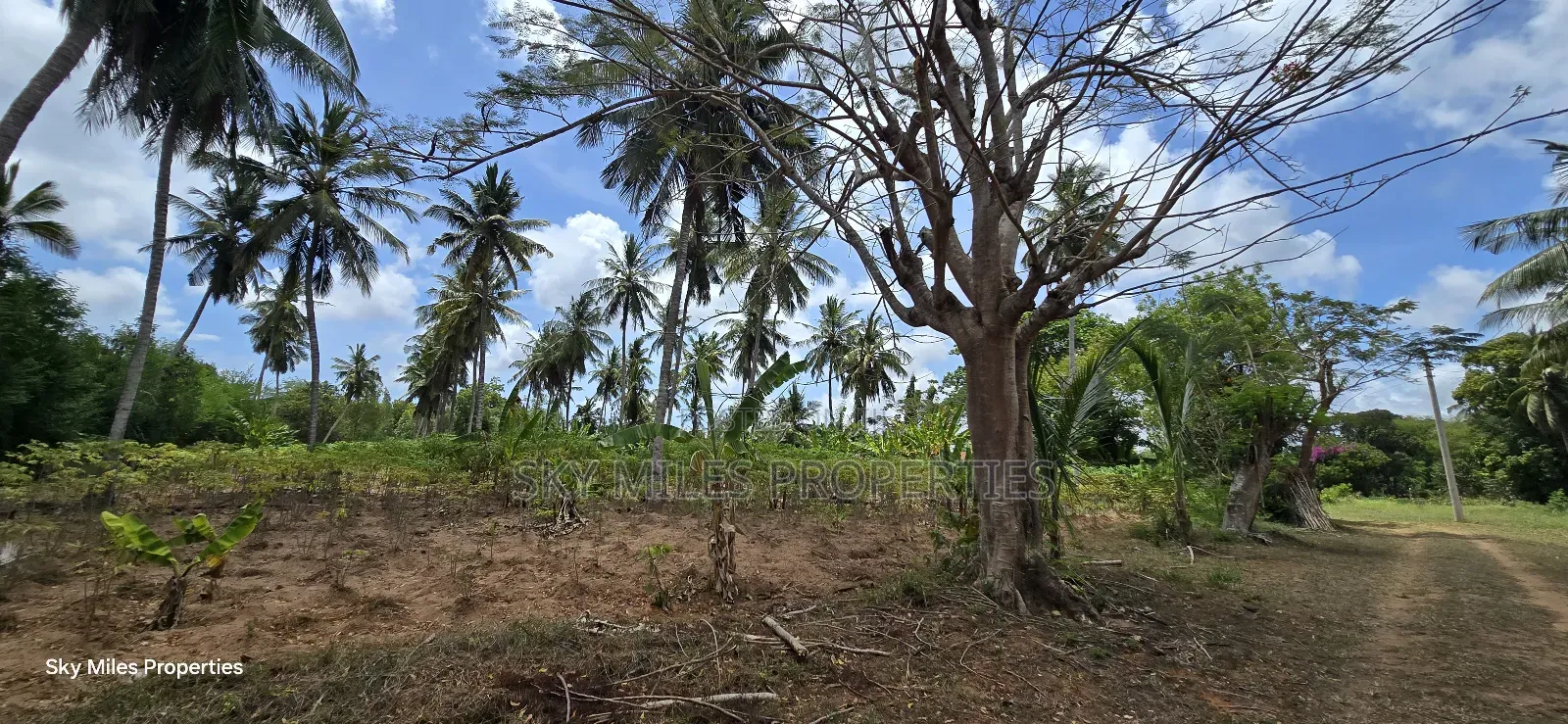6-Acre Prime Land for Sale in Bomani (Kikambala)