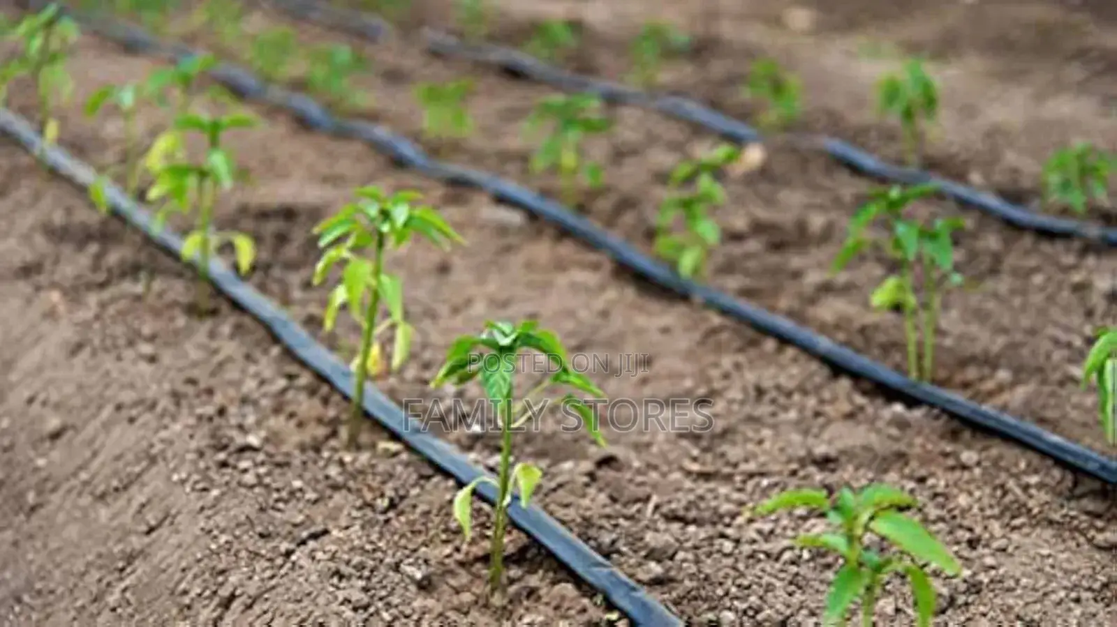 Flat Drip Line 1000 Meters Long