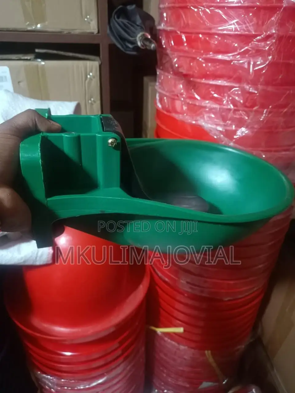Automatic Cow Drinking Green Bowls