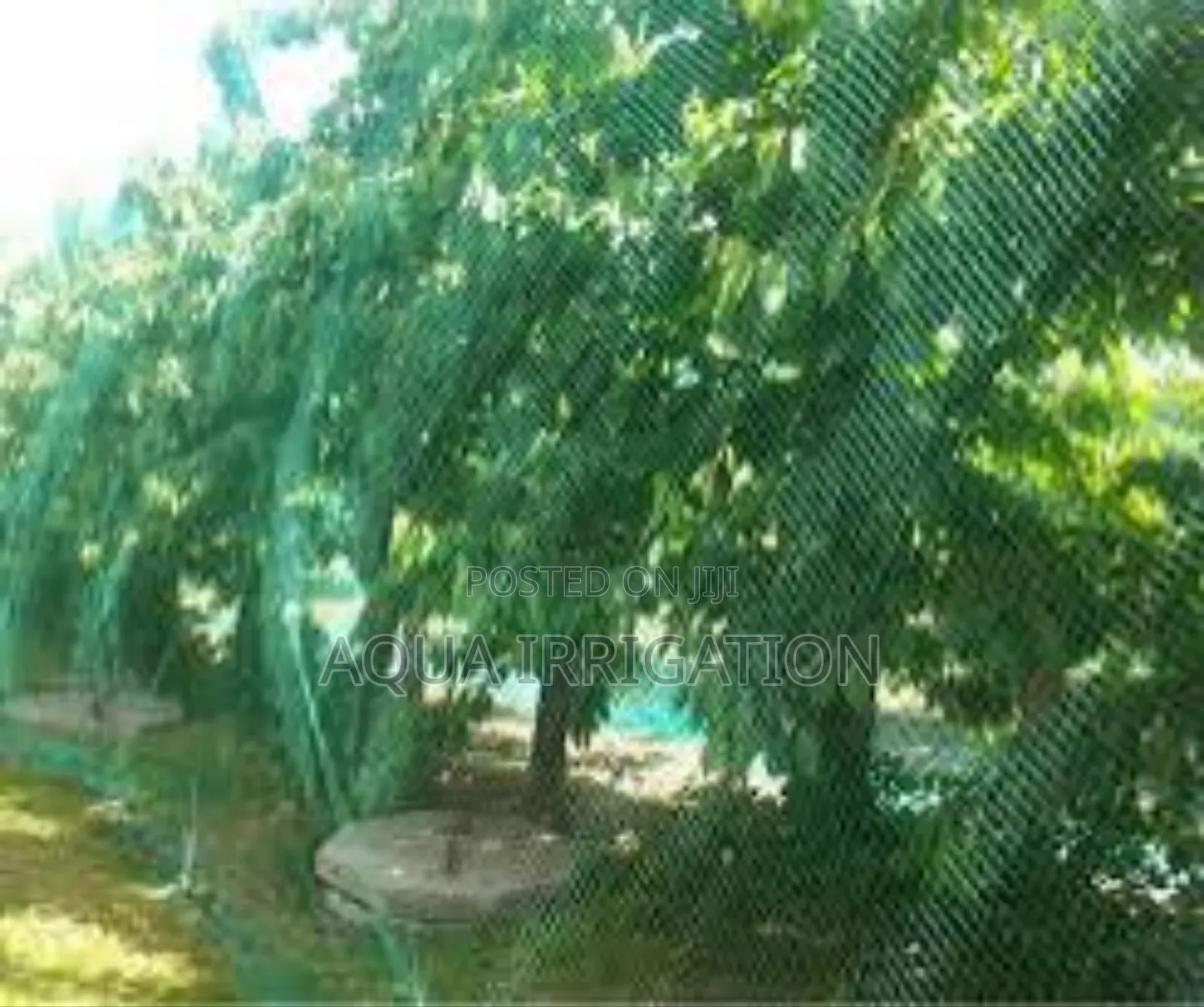 Protect Your Fruits and Veggies With Bird Nets