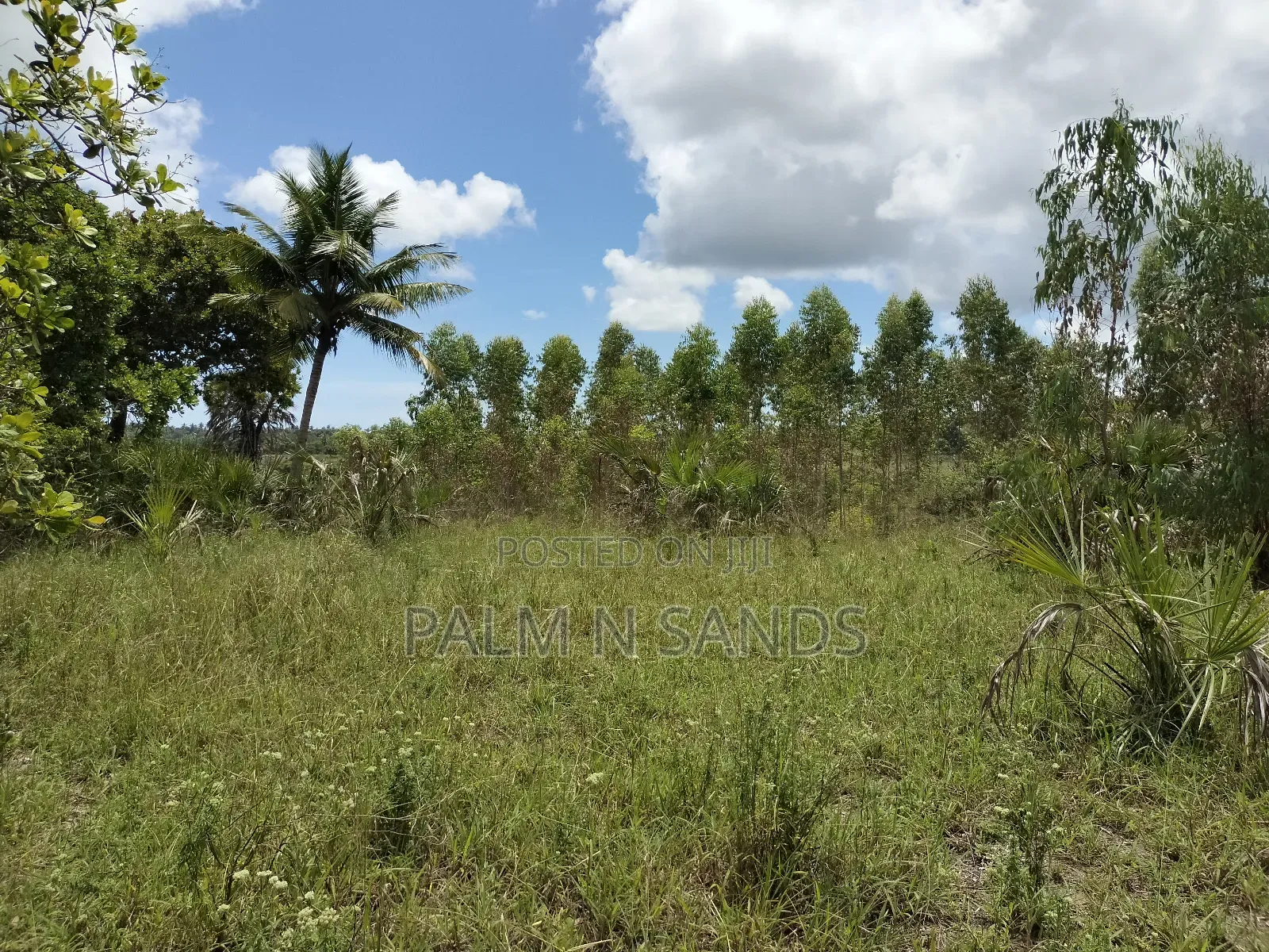 36 Acre Farmland on Sale in Mabokoni! 