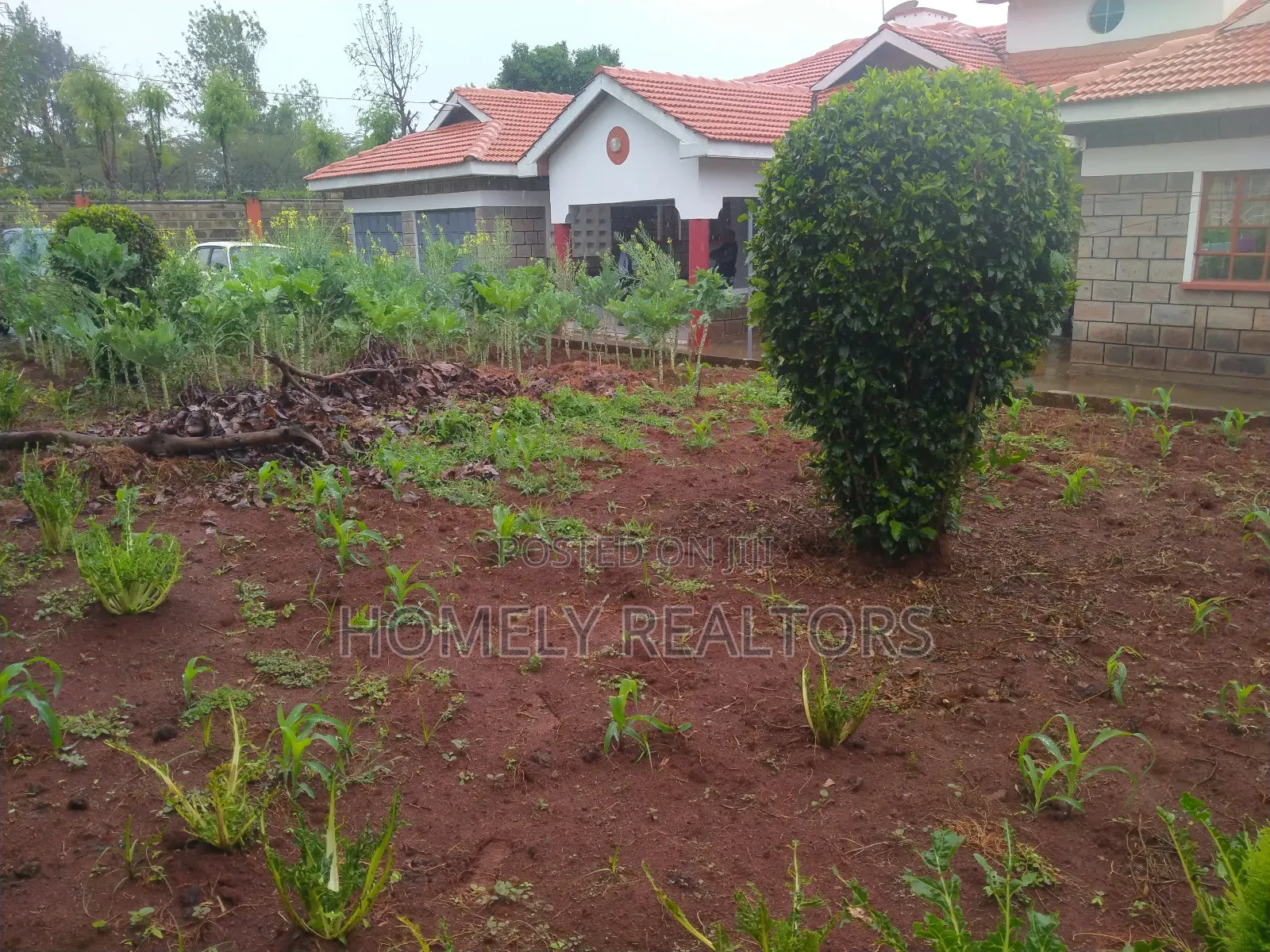 4bdrm Bungalow in Ngong, Vet Hill Top for sale