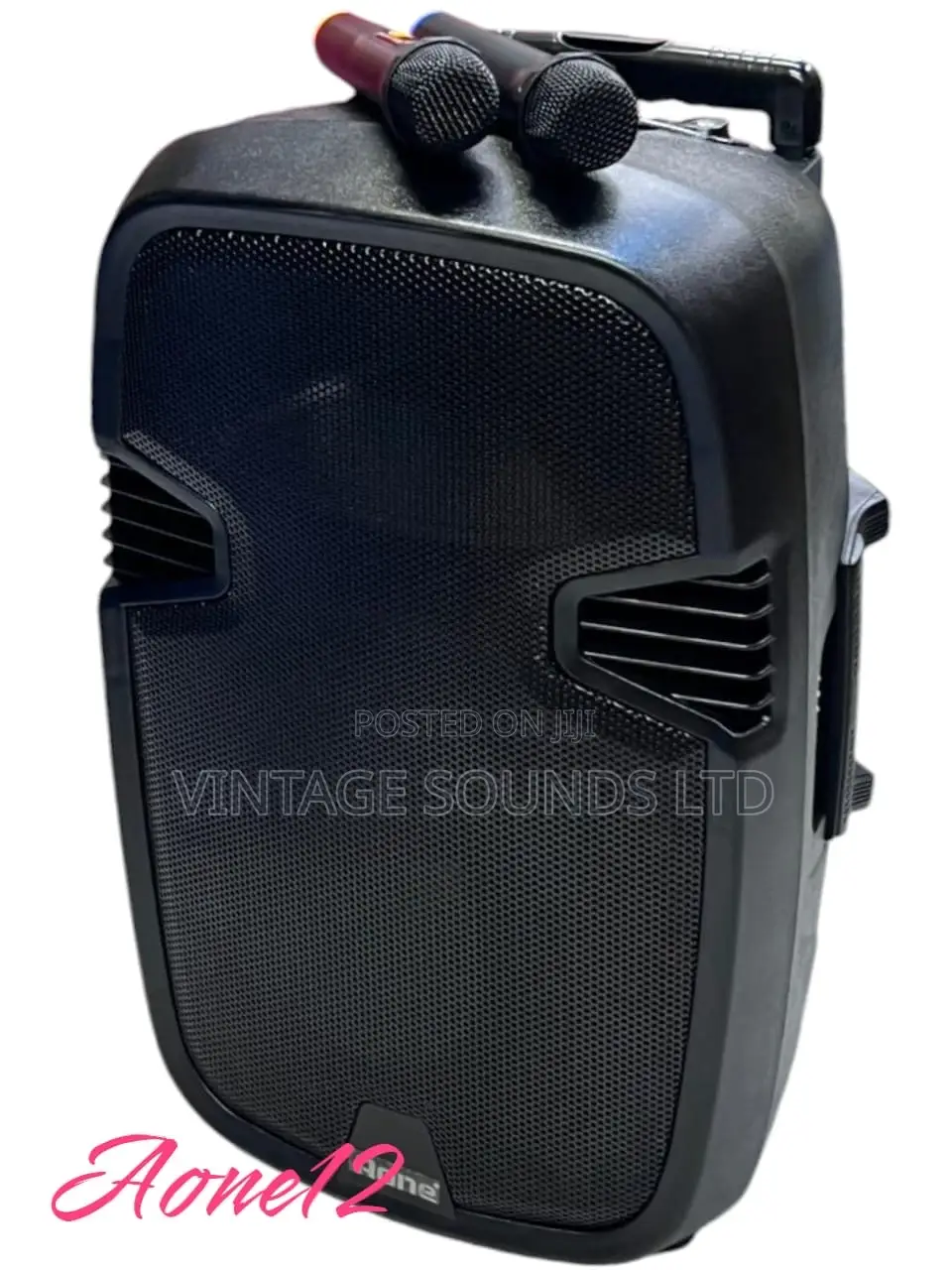 Advanced Aone 12” Portable Powered Speaker 1000watts Pmpo