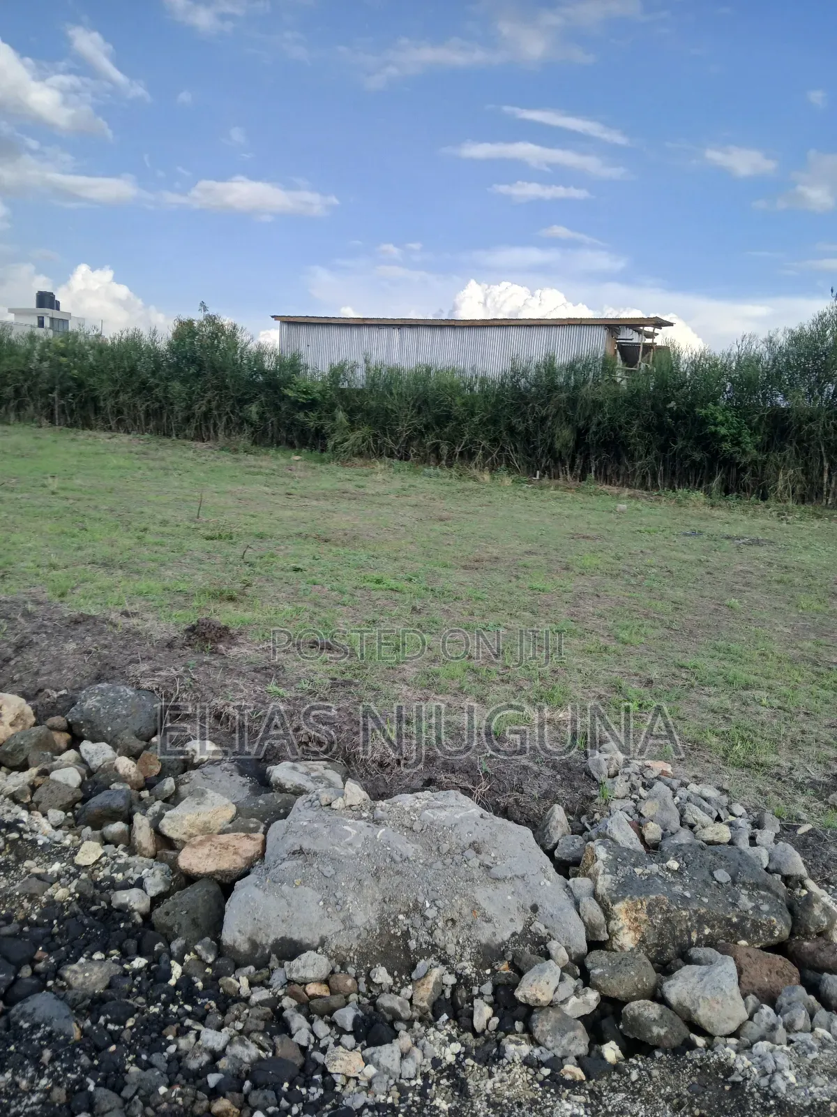 Kahawa Sukari C(Kamakis) 50"×80" Title at 4.6M Negotiable