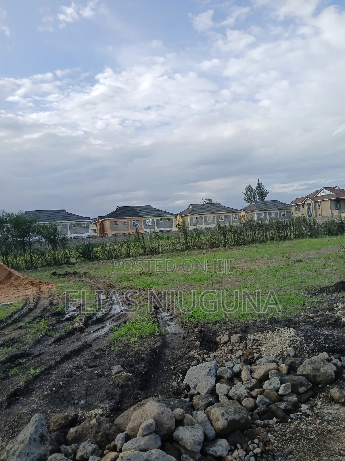 Kahawa Sukari C(Kamakis) 50"×80" Title at 4.6M Negotiable