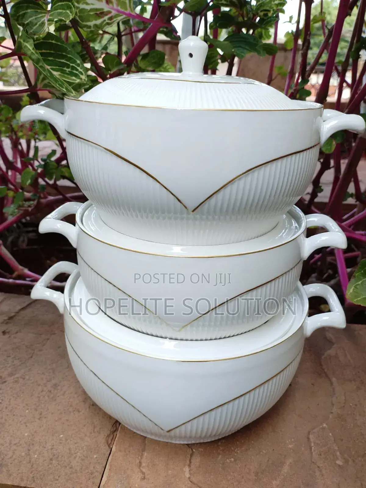 Aset of 3 Classy Ceramic Bowls