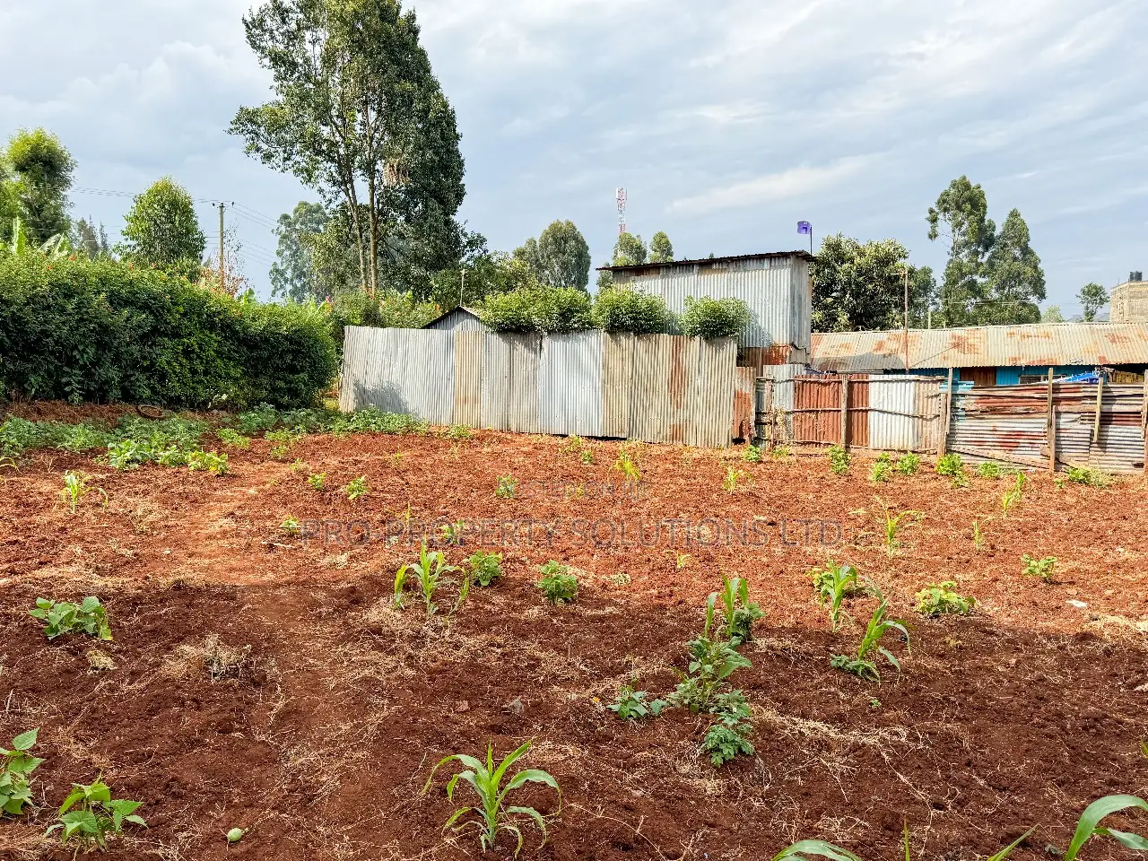 Prime 1/8 Acre Commercial Plot for Sale in Kikuyu, Kinoo