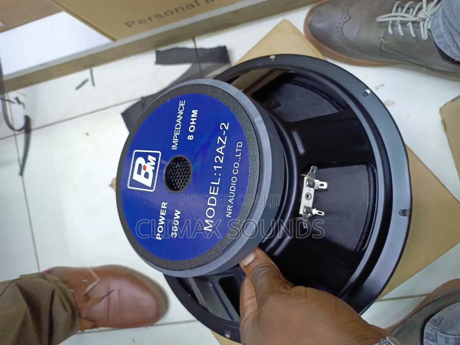 Bmaz-2 Naked Speaker 12in