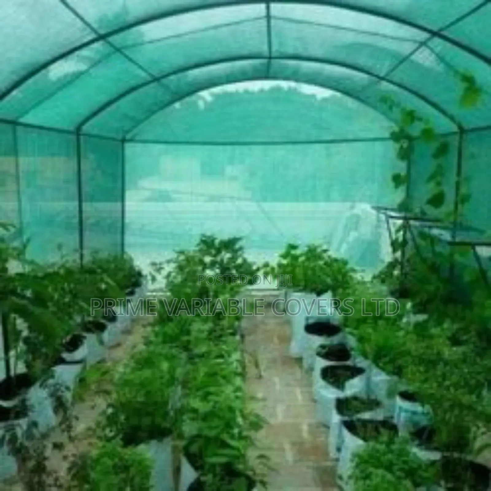 Shade Nets for Strong Wind Protection
