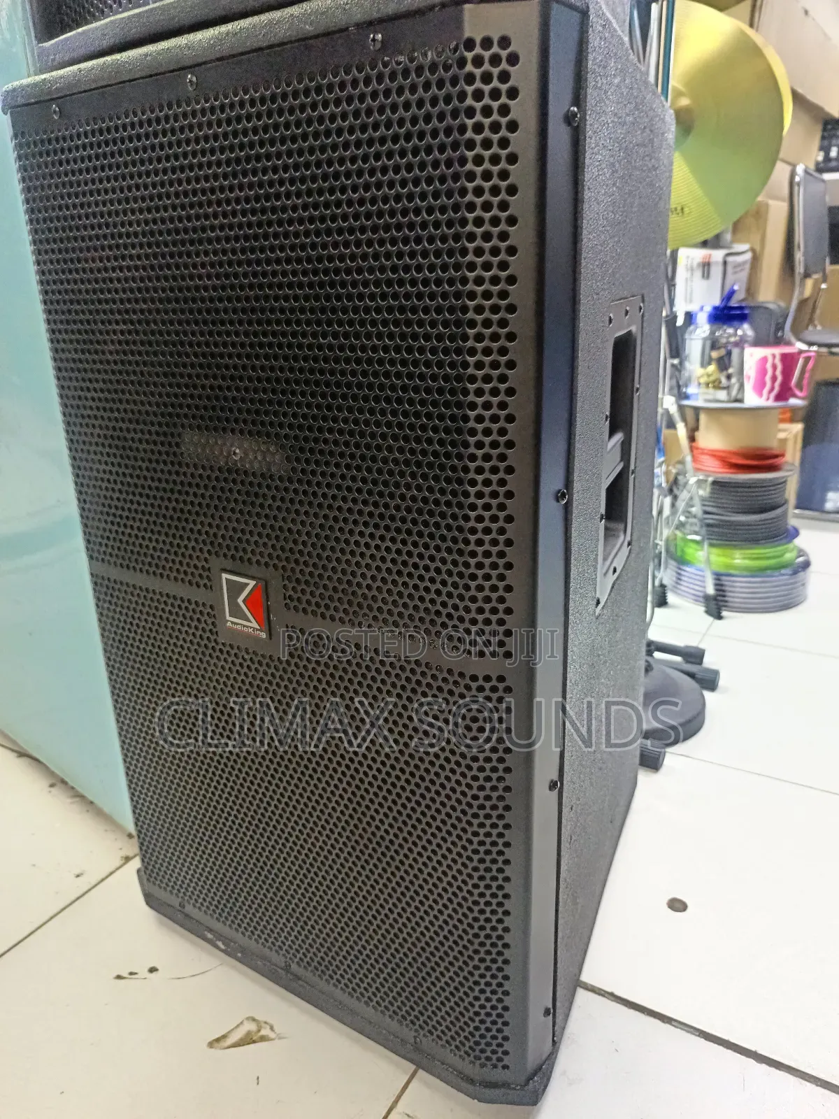 Audio King Mid Range Speaker'.