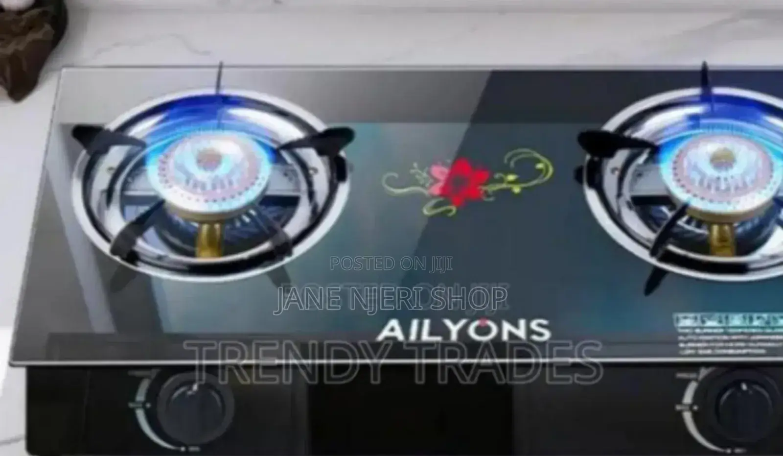 Original 2 Burner Cooker Ailyons