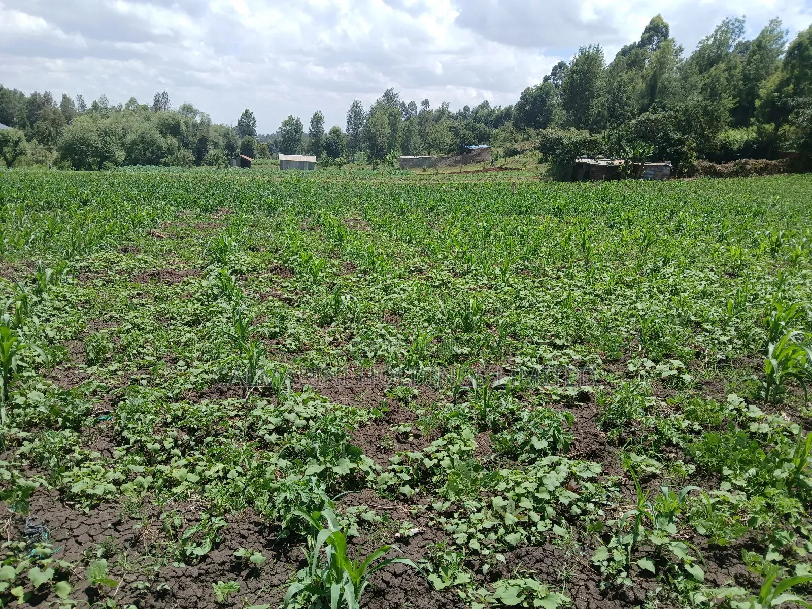 Deal 3.5 Acres for Sale Off Ngong-Kiserian Highway