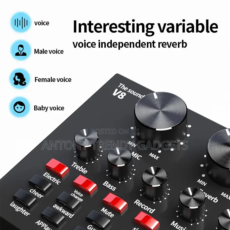 Condenser Microphone Bundle for Studio Recording Broadcast