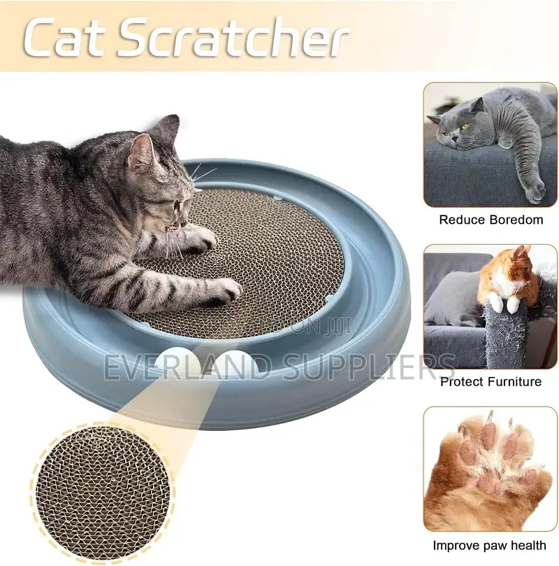 Cat Ball Track and Cat Scratcher.