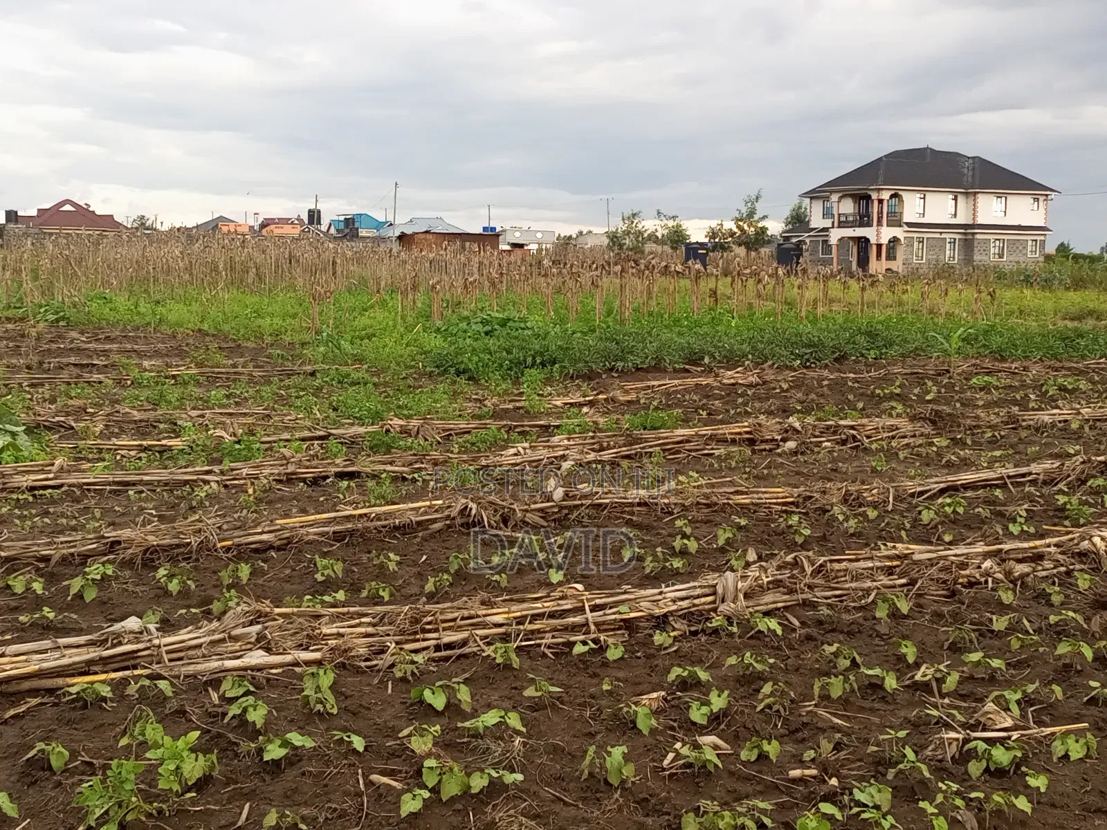 1/8th Plot for Sale in Mwariki C