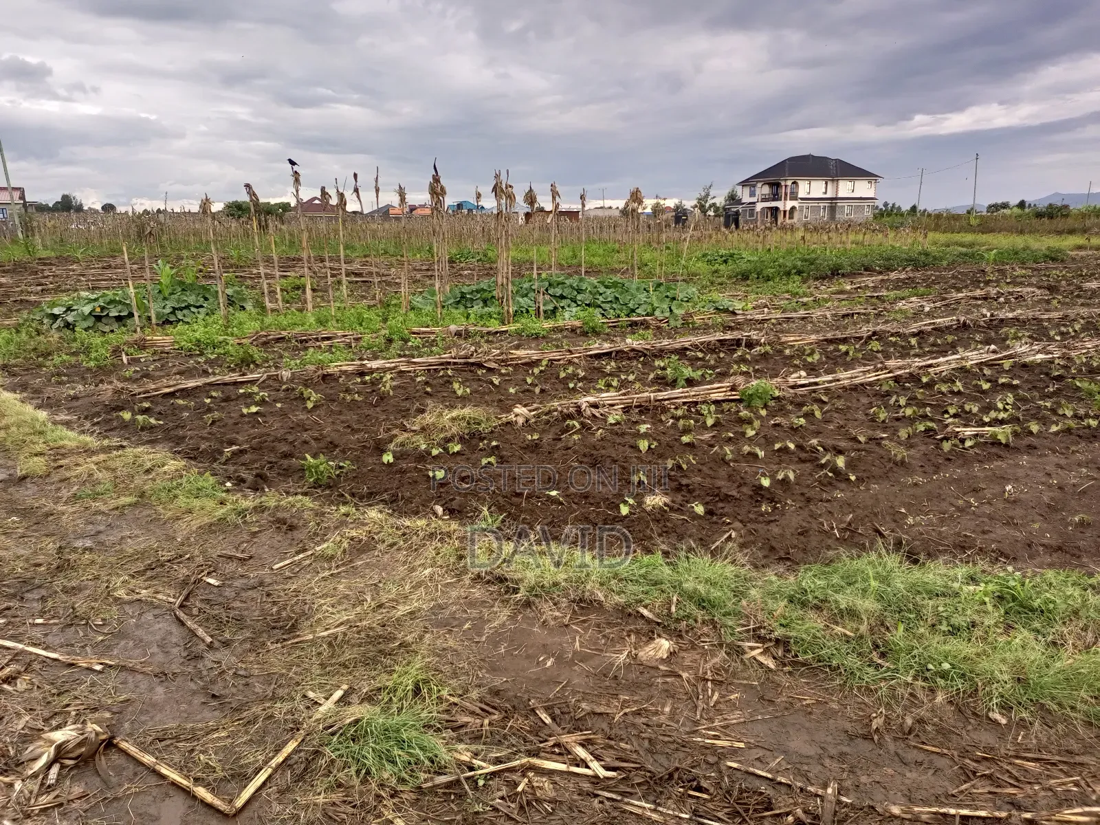 1/8th Plot for Sale in Mwariki C