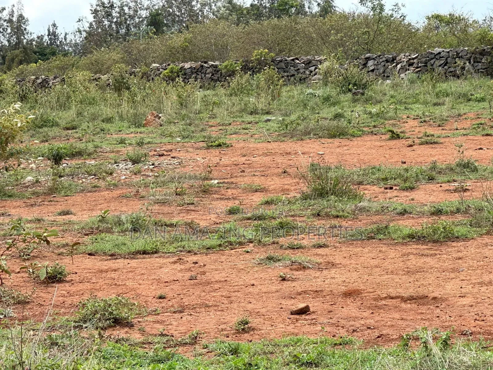 50 by 100 Plot in Rongai Tuala for Sale Purely Residential