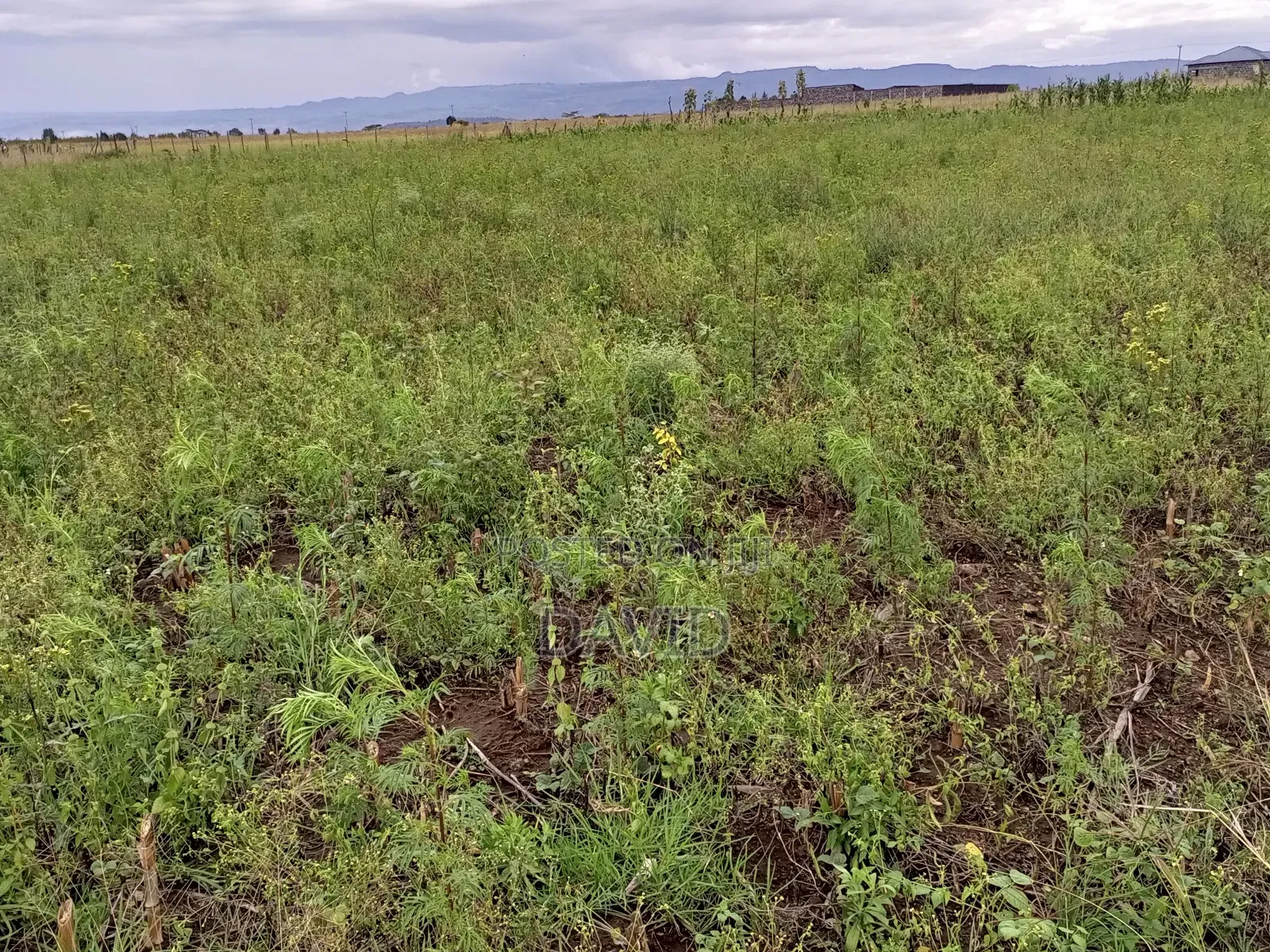 Half Acre Plot for Sale in Mwariki C Pipeline