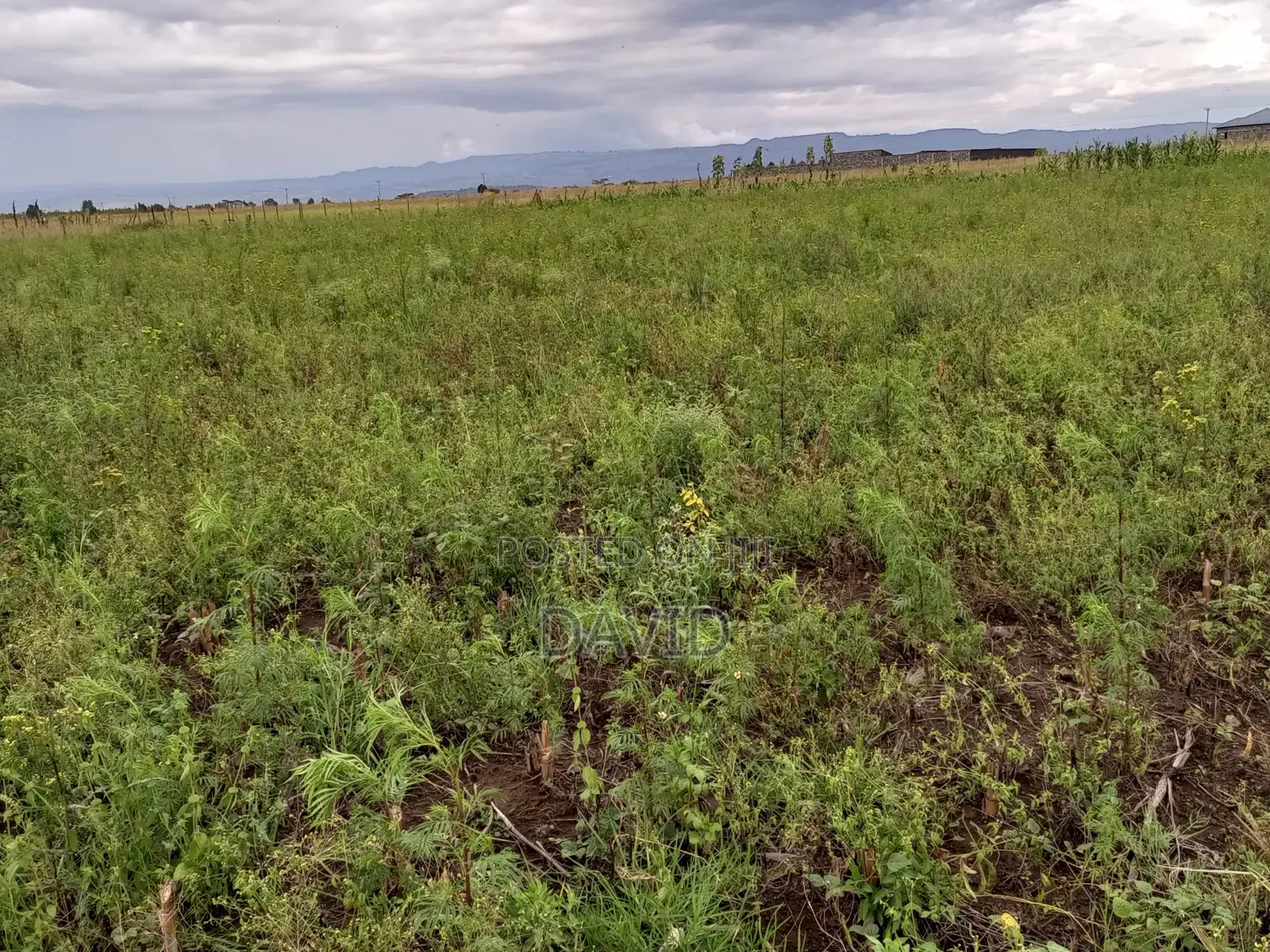 Half Acre Plot for Sale in Mwariki C Pipeline