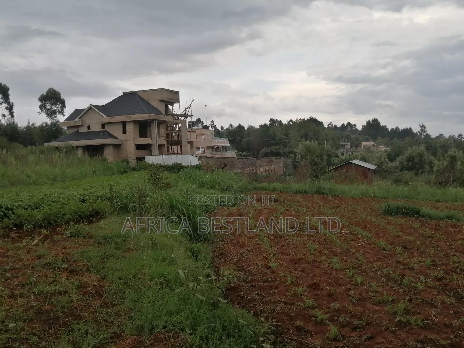 50x100 Plot for Sale in Kikuyu Gikambura