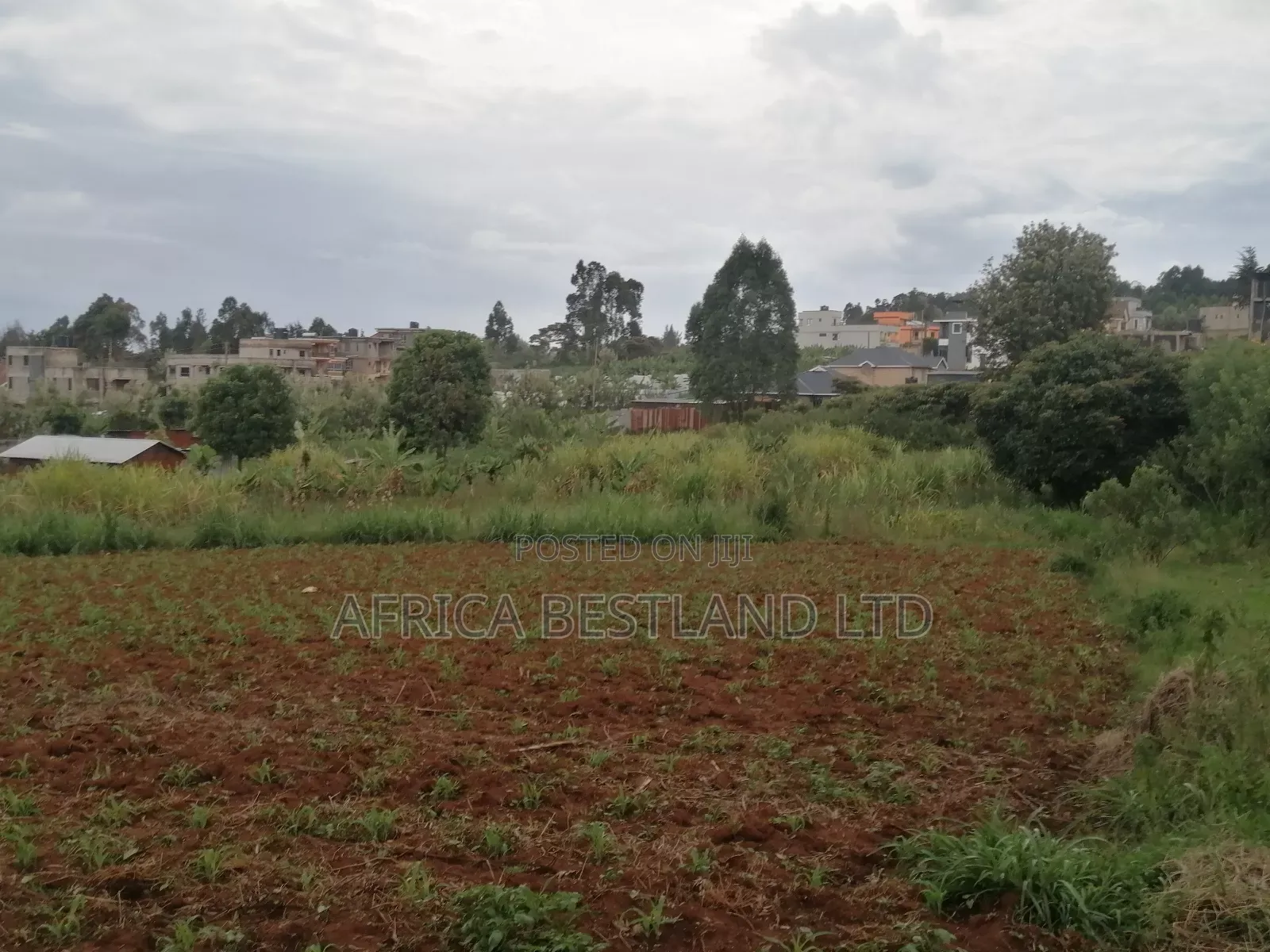 50x100 Plot for Sale in Kikuyu Gikambura