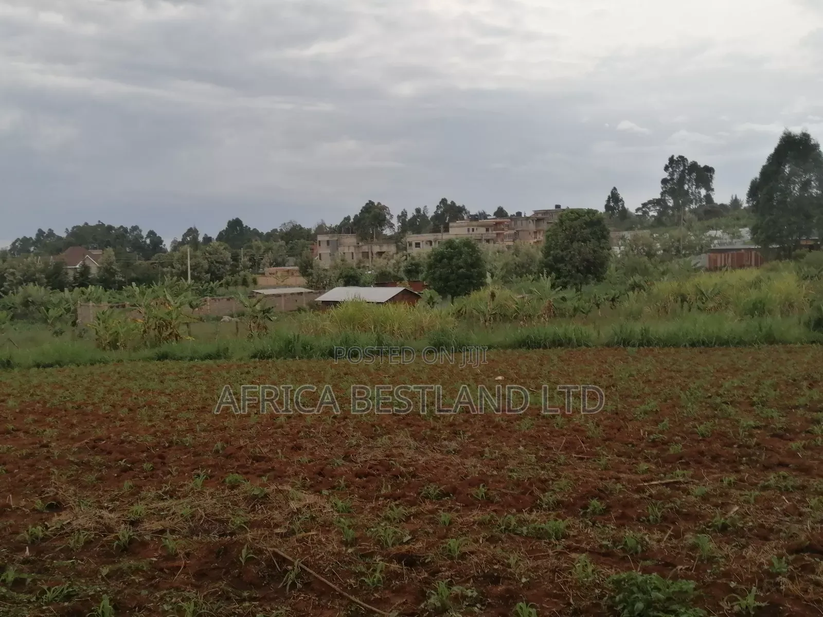 50x100 Plot for Sale in Kikuyu Gikambura