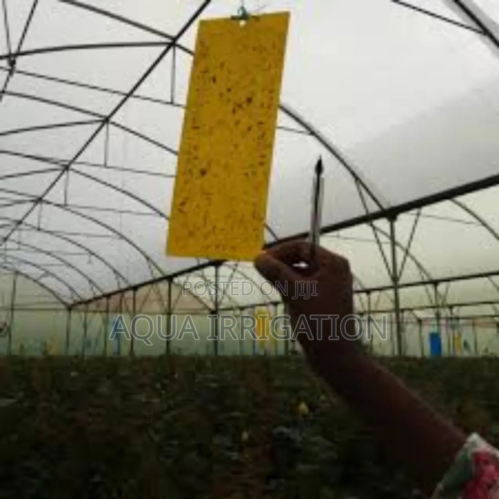 Greenhouse Covers With High Light Transmission