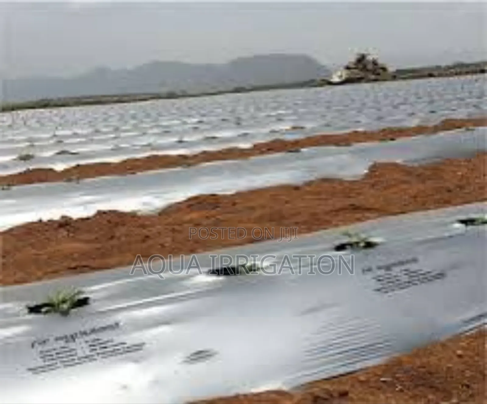 Environmental Impact of Mulch Films in Farming