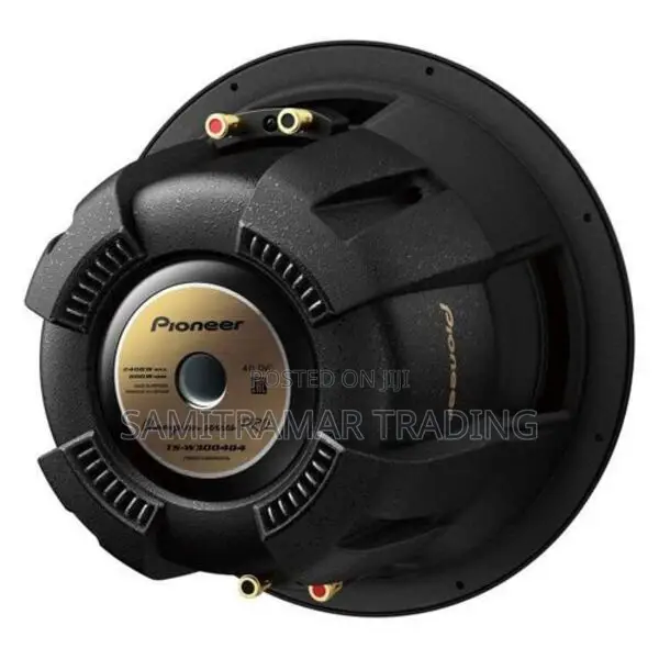Ts-W3004d4 New Pioneer Champion Pro Series 2400w Sub Woofer