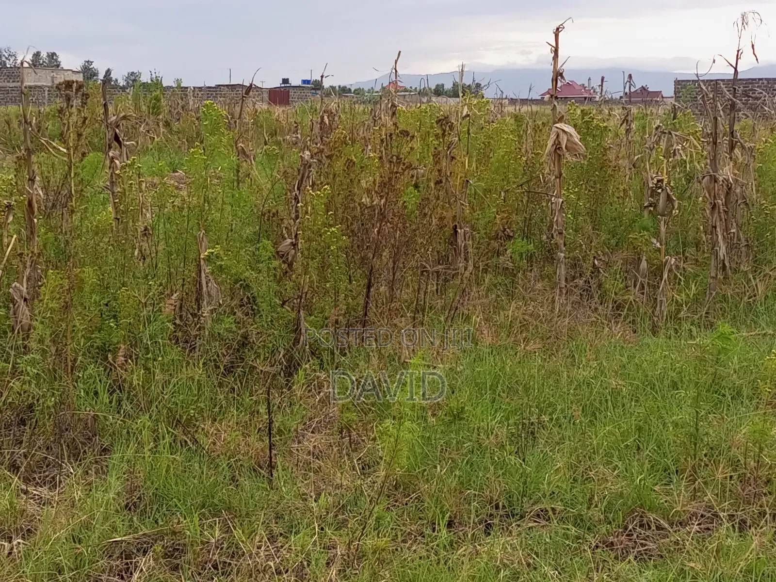 Plot for Sale in Mwariki C Nakuru