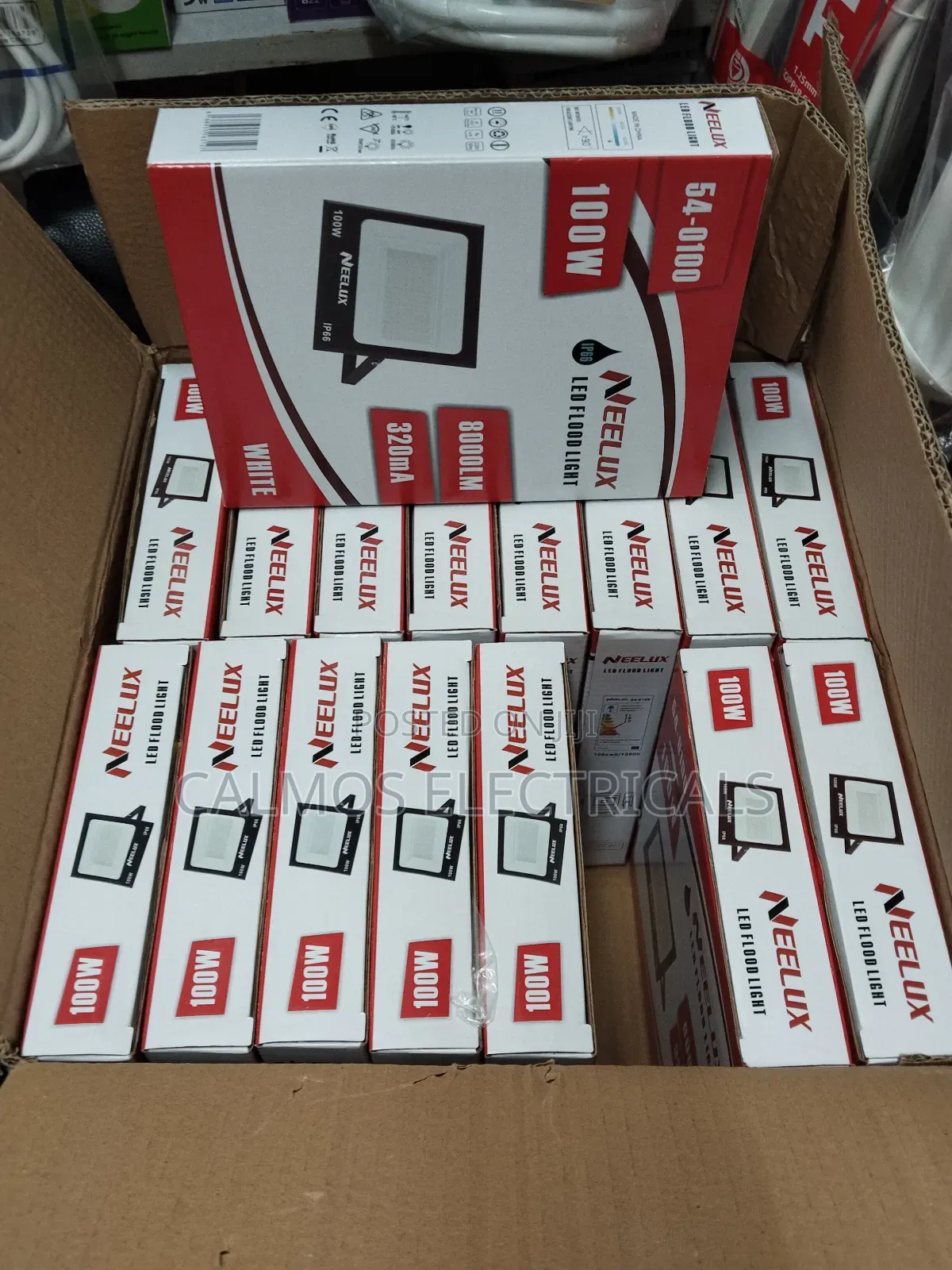100watts Min Floodlight