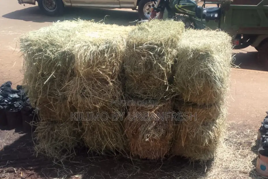 Hay Bales for Event Purchase / Hire. Batch of 10. Excl.Trans