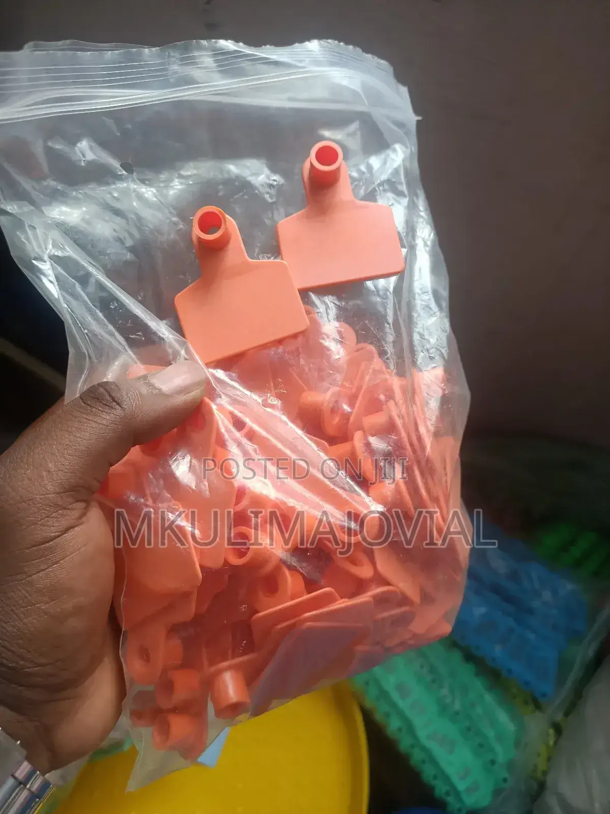 Plain/Balnk Orange Ear Tag/S