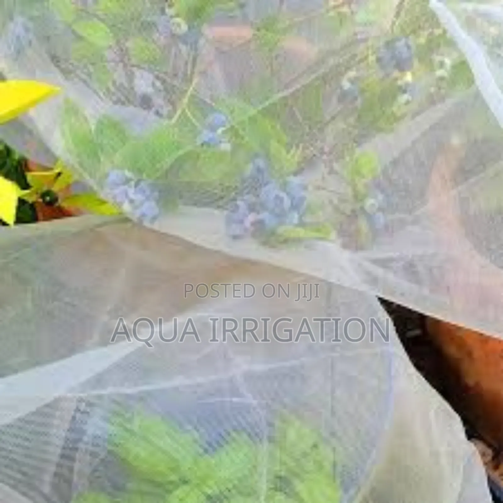 Fruitfence Pest Netting – Keeps Fruit Trees Safe From Bugs