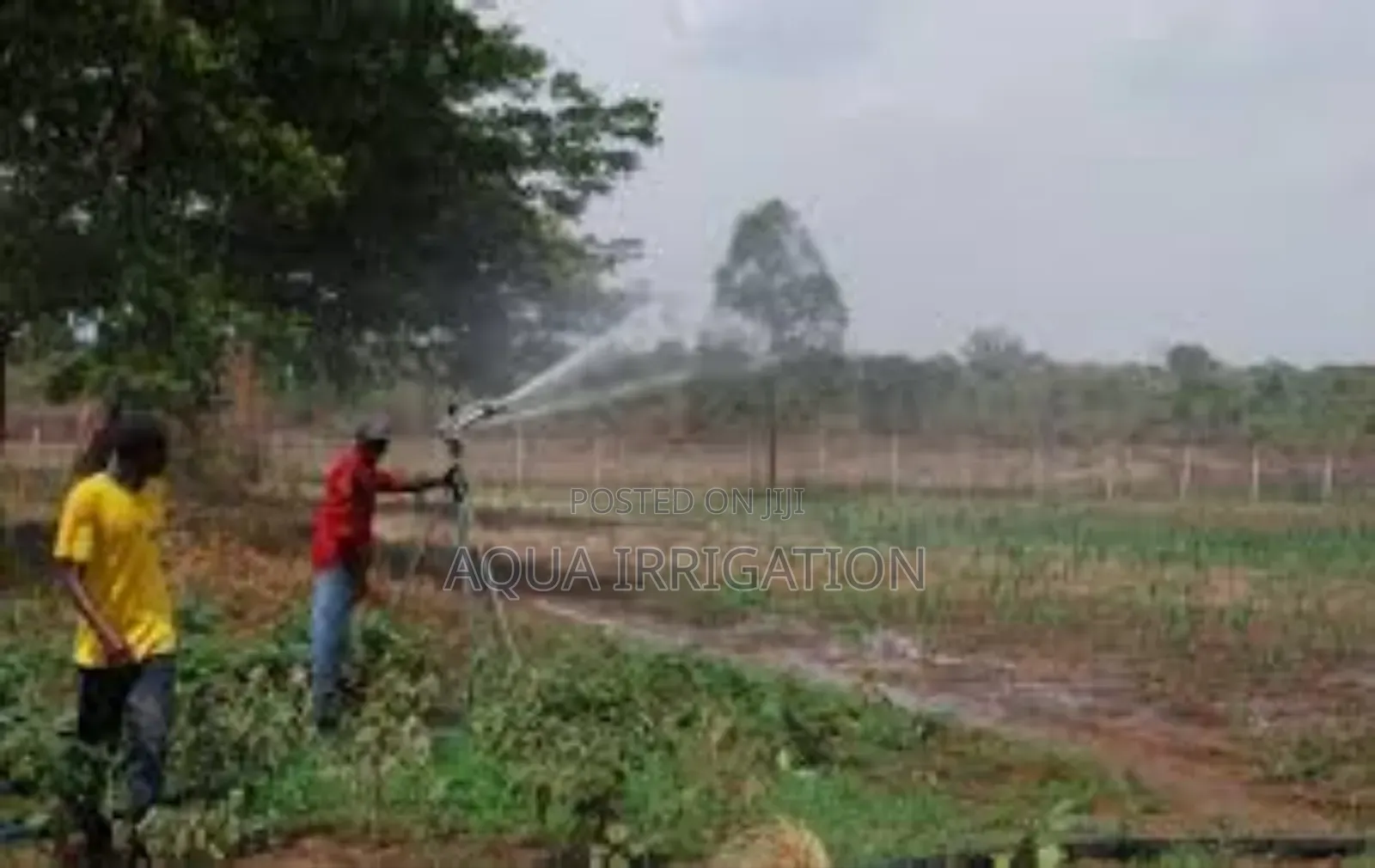 Cropmist Rain Gun – Gentle Yet Effective Irrigation