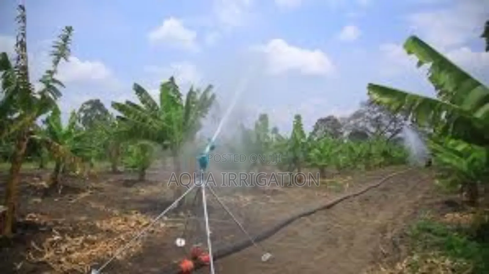 Rainboost Irrigation Gun – Enhanced Pressure and Reach