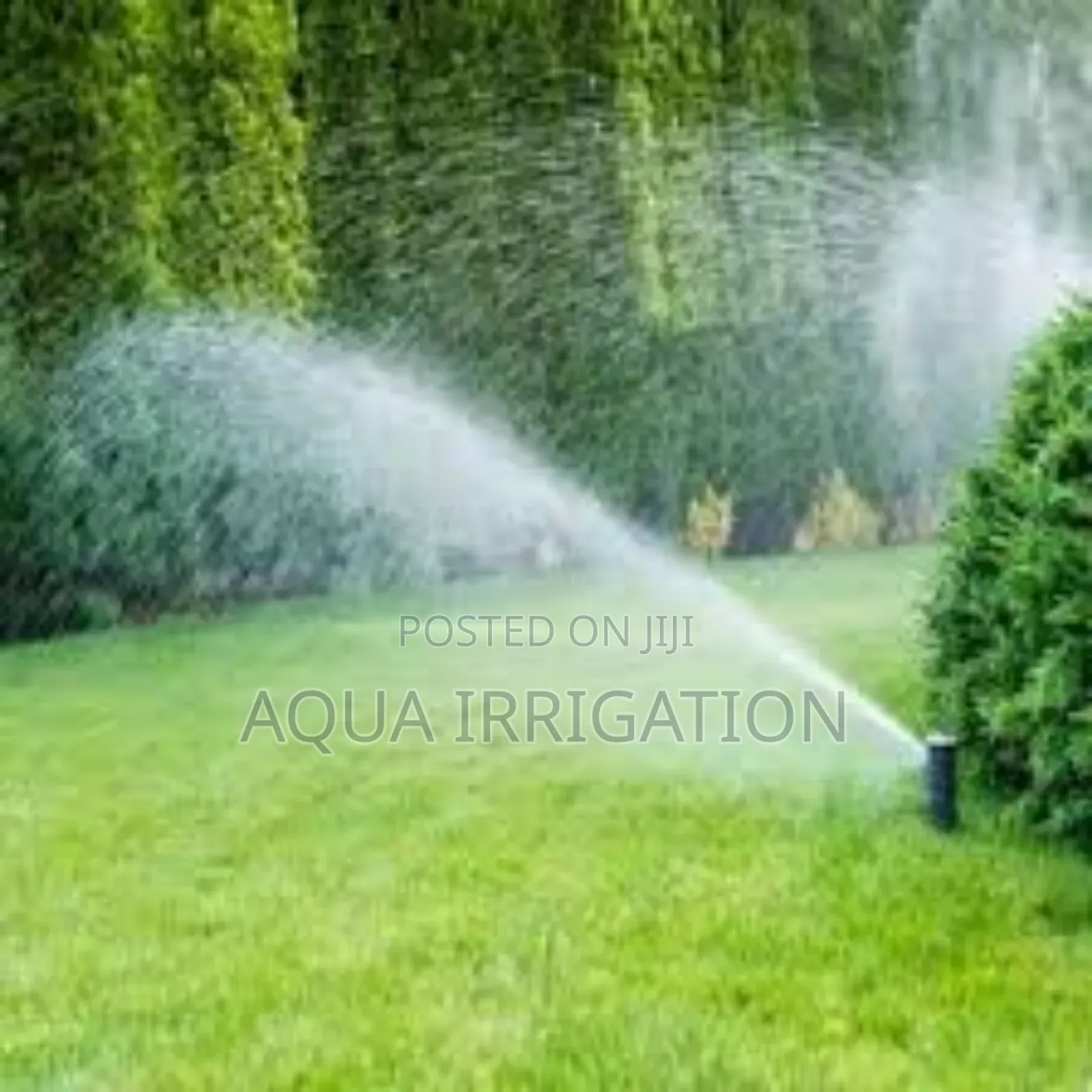Lawnshield Pop Sprinkler – Designed for Lush, Green Lawns