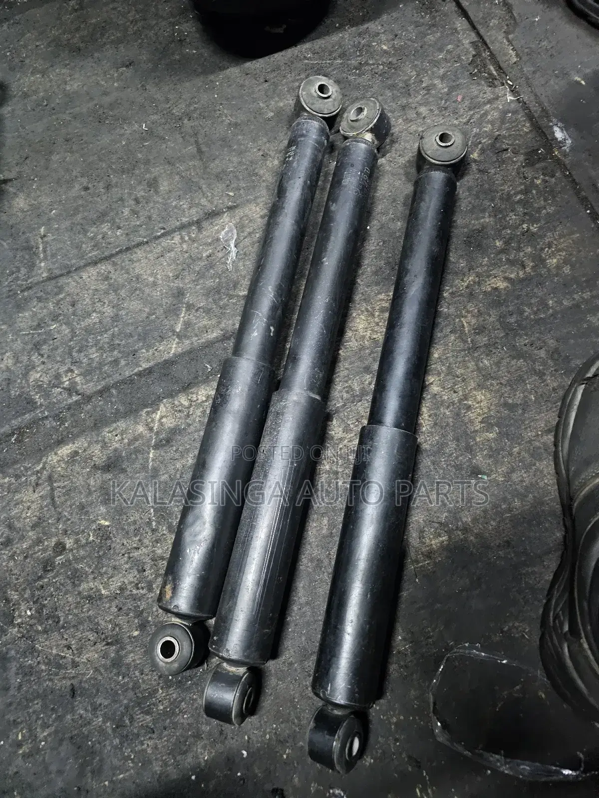 Rear Shocks Toyota Probox