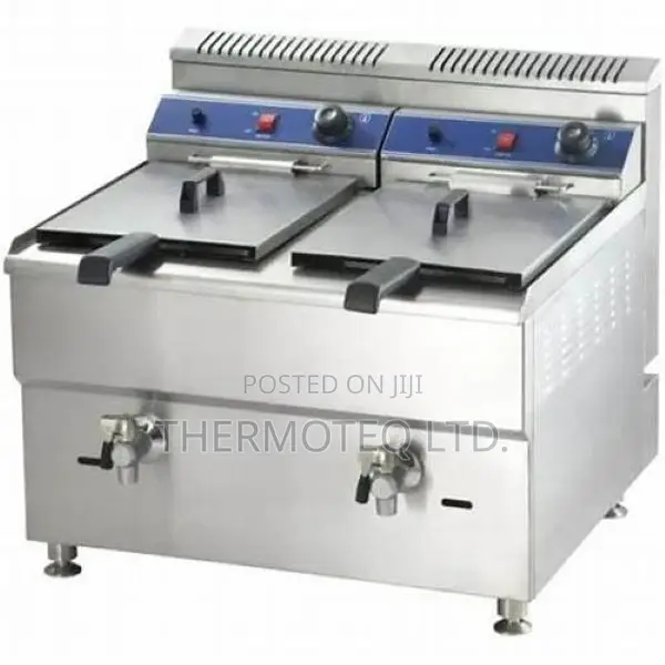 Electric Fryer 12+12L