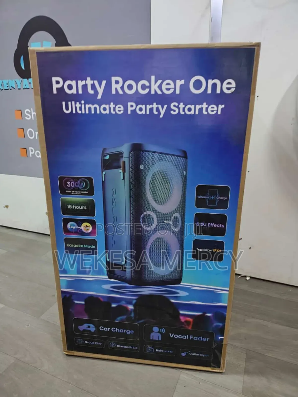 Hisense HP100 Portable Party Rocker